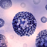 Influenza virus